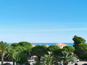 Appartement refait à neuf, climatisé avec vue mer et montagne, avec place de parking privative